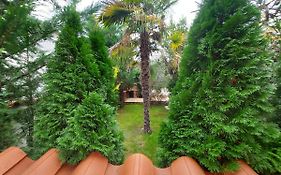 Apartment Miran, Barbariga, Istria